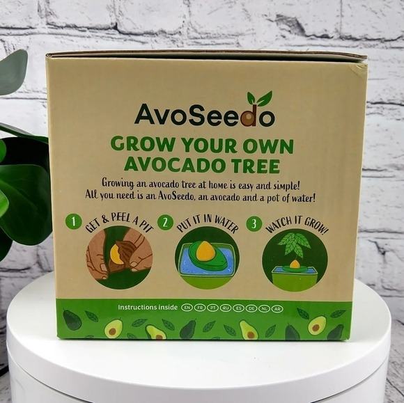 AvoSeedo, pot & saucer. Avocado tree seed growing kit, organic - Picture 3 of 5